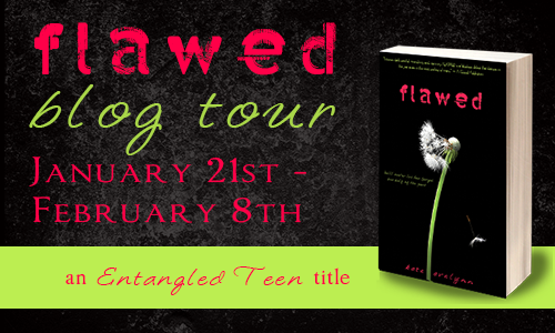 Flawed blog tour button